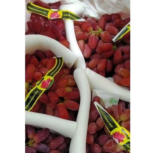 

Anggur Jari /Long crimson