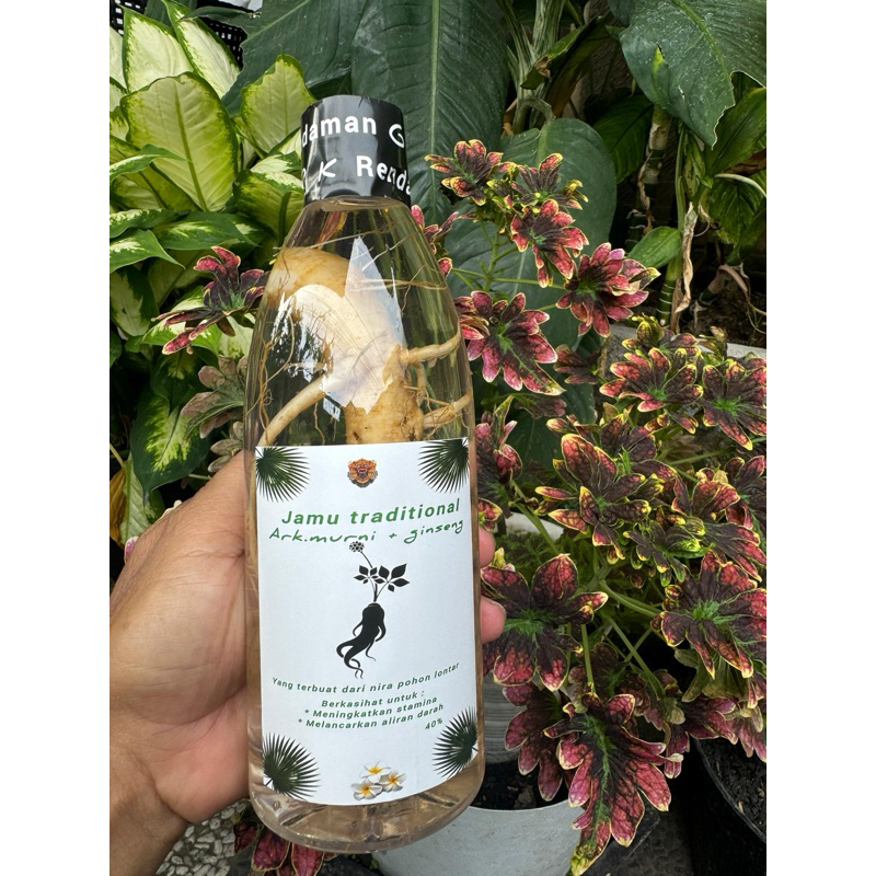 

BACEMAN JAMU MURNI GINGSENG MERAH KOREA 600ml