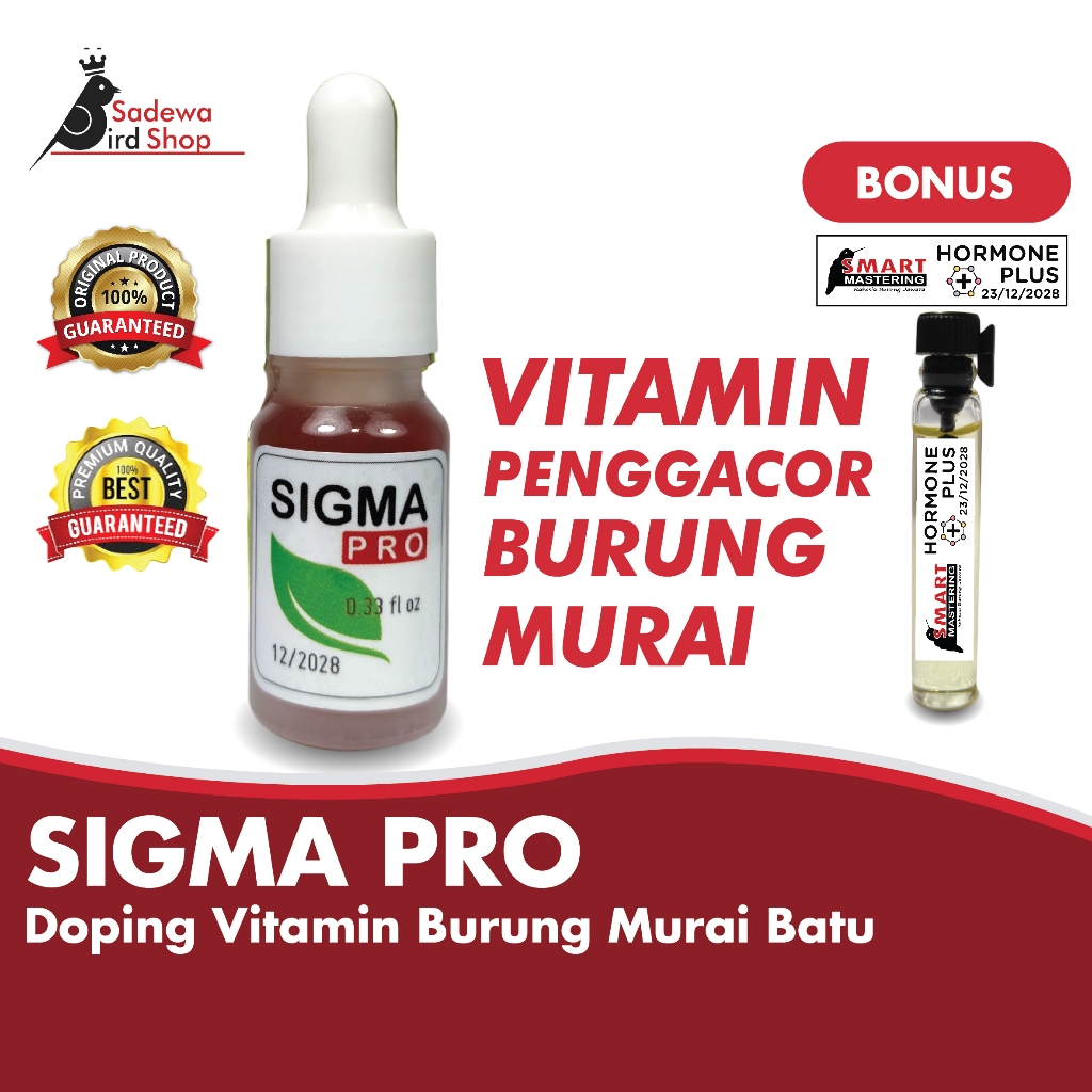 SIGMA PRO, DOPING VITAMIN PREMIUM DAN ATP DOSIS TINGGI UNTUK BURUNG MURAI BATU | SMART MASTERING