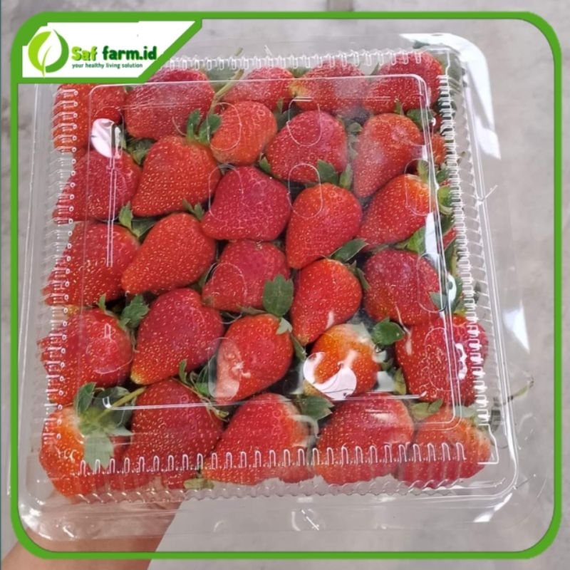 

Strawberry fresh Ab