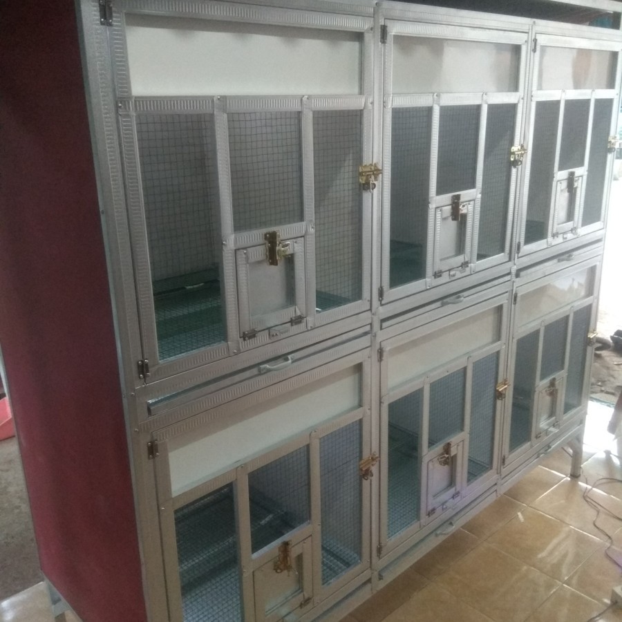 Kandang Merpati Balap Burung Dara Kandang Macan [ Po ]