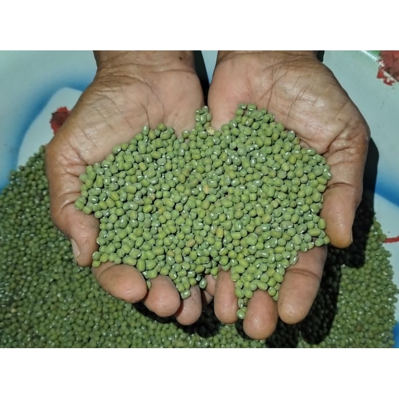 

Kacang hijau lokal 1kg