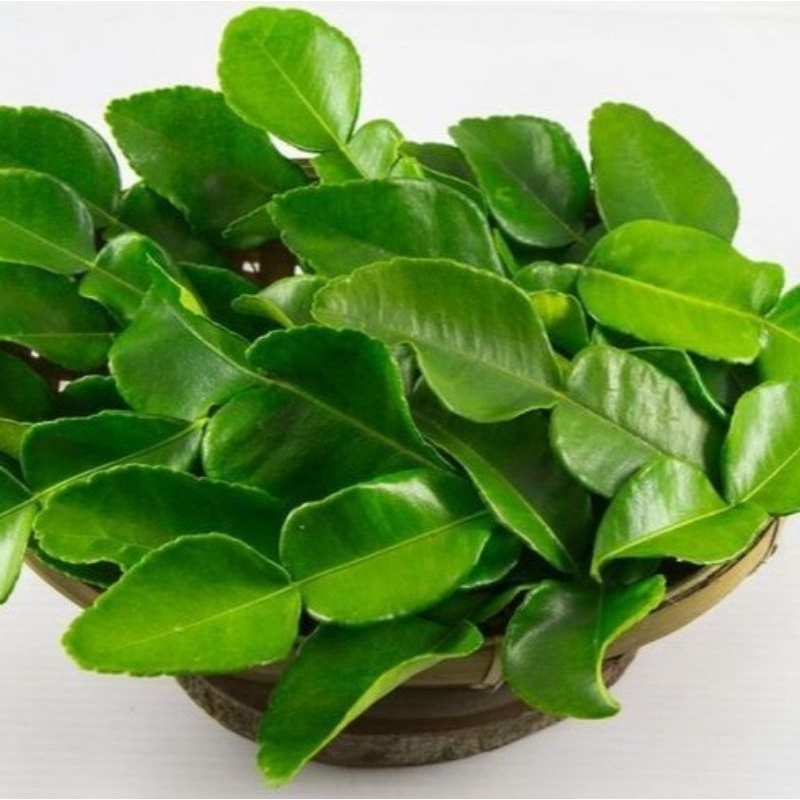 

Daun Jeruk Per Plastik fresh