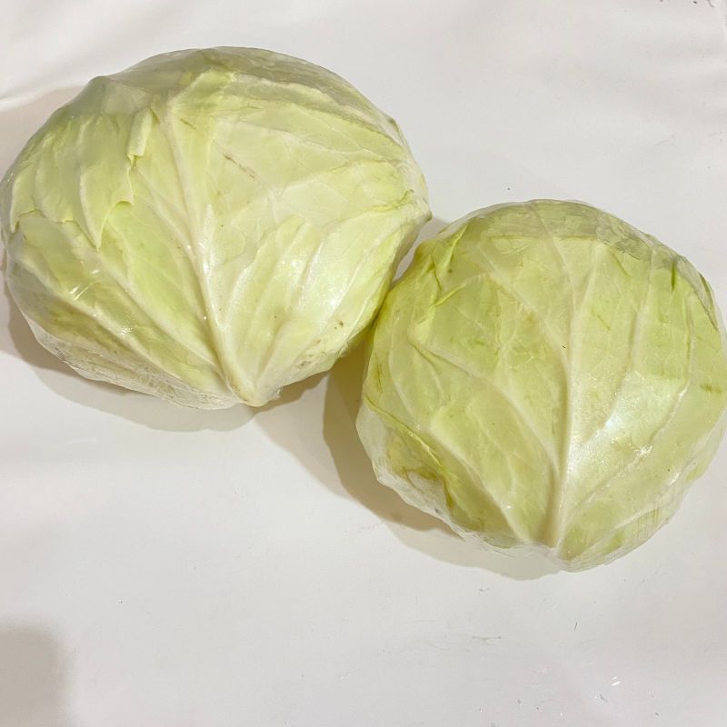 

Kol putih 1,25gr