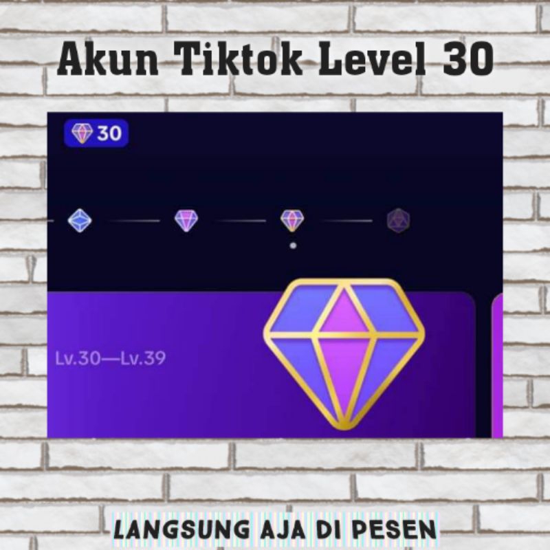 Akun Tiktok level 30