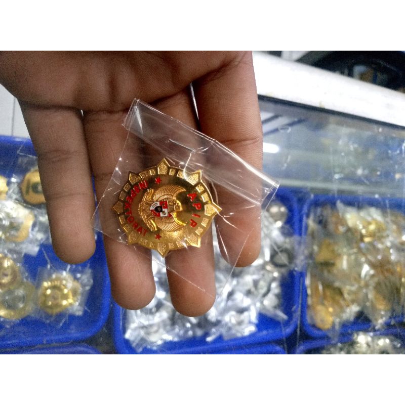 pin APIP inspektorat