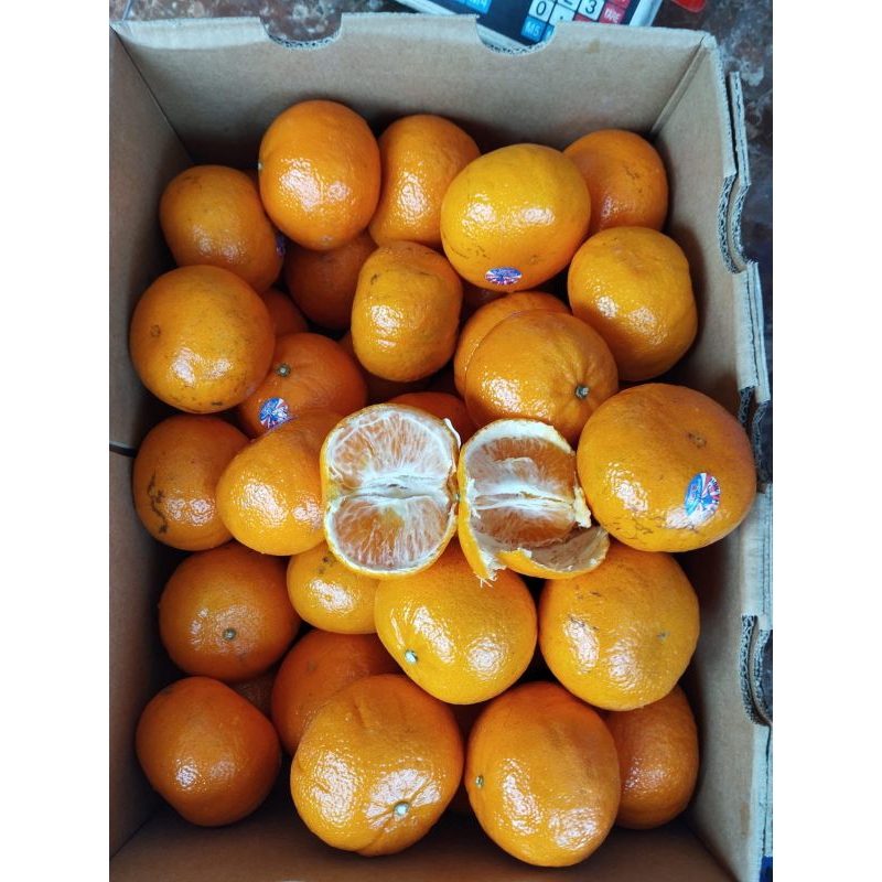 

Jeruk Markot Honey