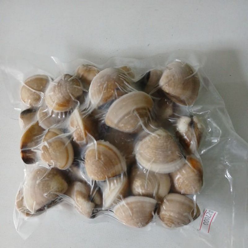 

Kerang Kepa