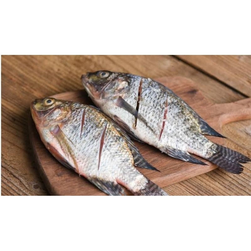 

ikan nila fresh forzen food ( pengiriman hanya untuk jabodetabek )