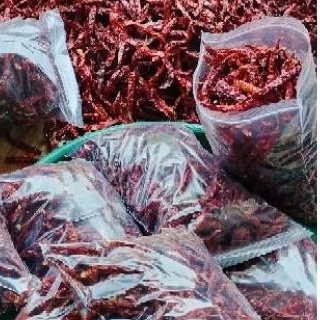 

Cabai keriting kering( tanpa tangkai) 250gr 500gr 1000gr