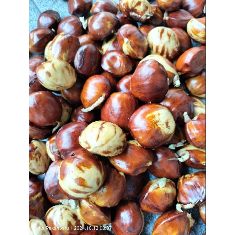 

jengkol lilin tua utk kerupuk dan rendang kalio dll