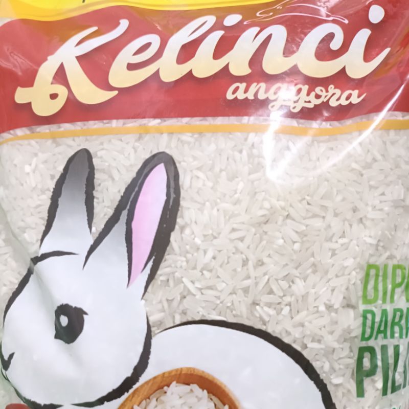 

Beras Kelinci Anggora
