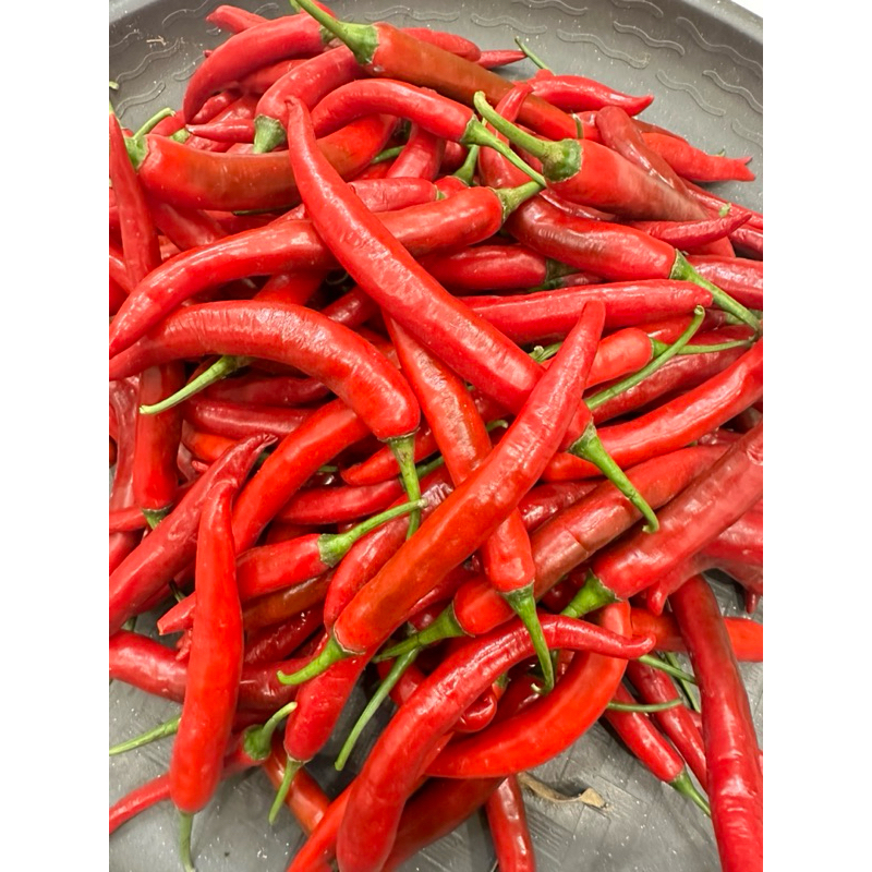 

cabe merah besar 500gr petani banyuwangi