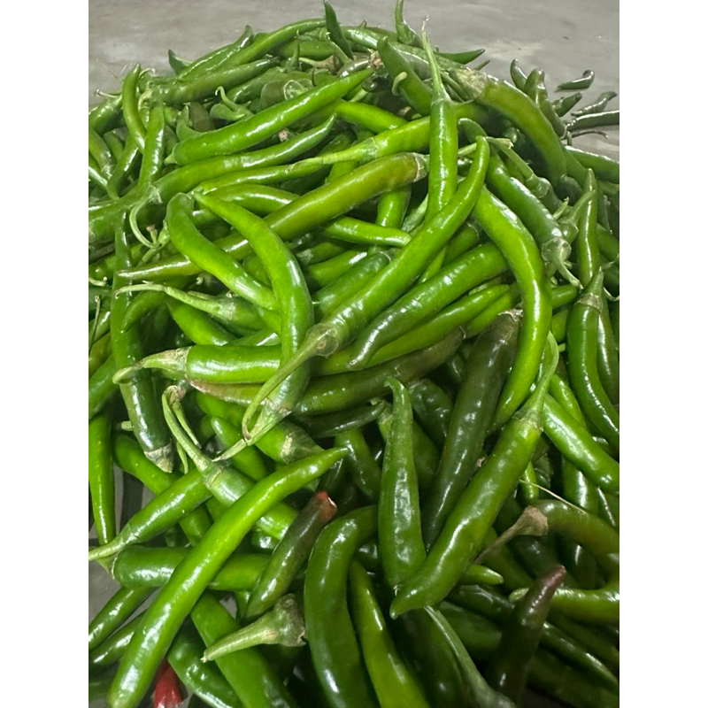 

cabai hijau besar 1kg petani banyuwangi