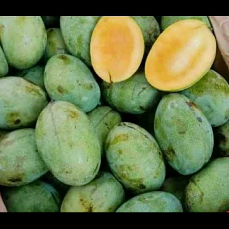 

mangga manalagi super 1kg isi 3-4buah