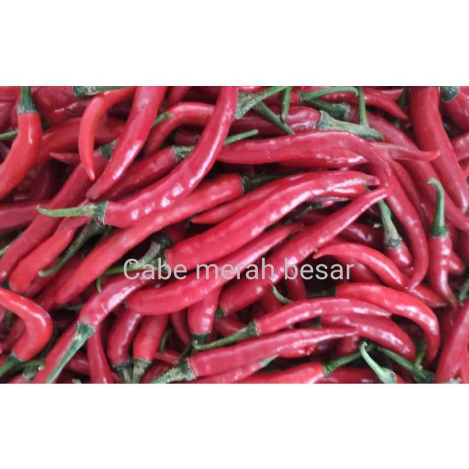 

Promo Cabe Merah Besar Fresh