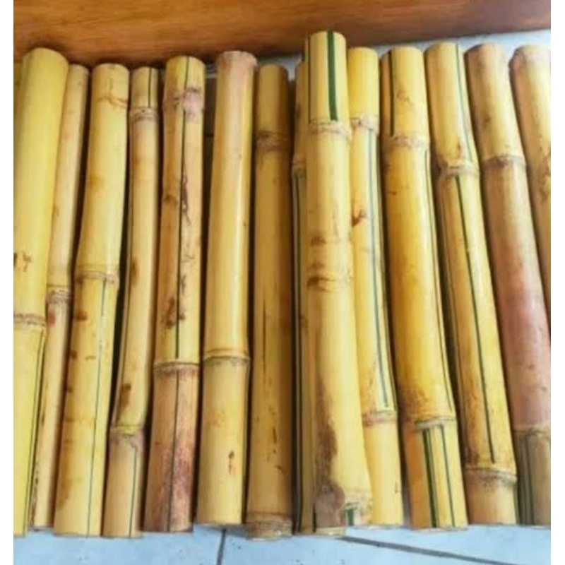 Potongan bambu kuning besar 50 cm