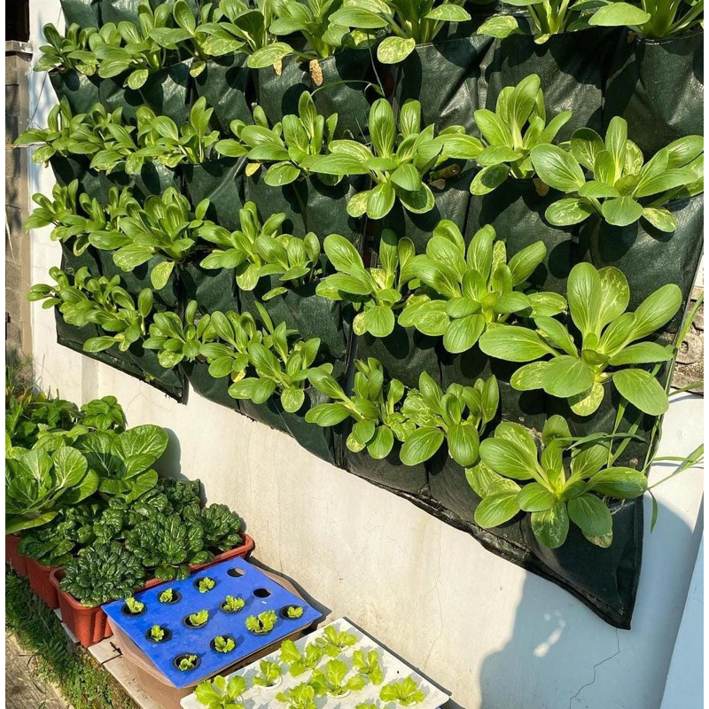 Wall Planter Bag Vertikal Easygrow 15 Kantong/Pot Planter Dinding Bentuk Vertikal
