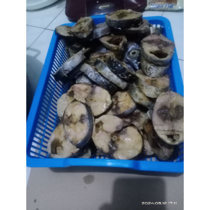 Ikan Tongkol Pindang /1kg (berat kotor)