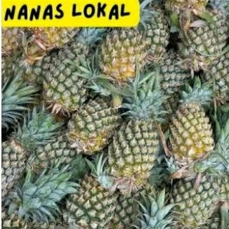 

Nanas lokal ukuran sedang (4buah)