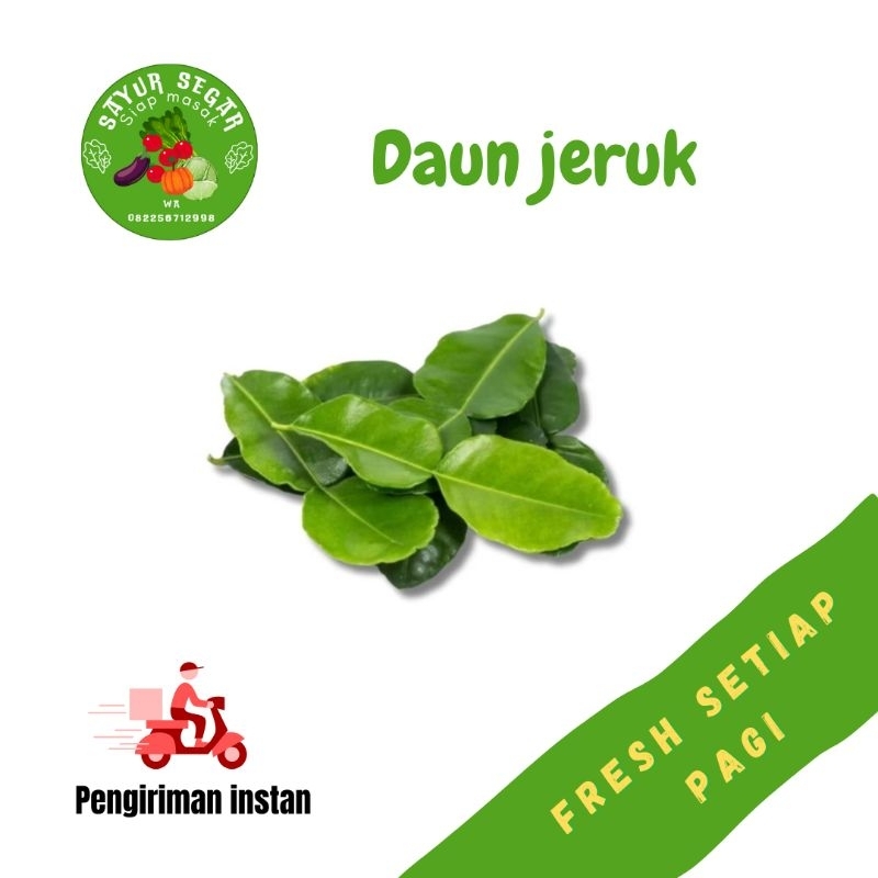 

Daun Jeruk