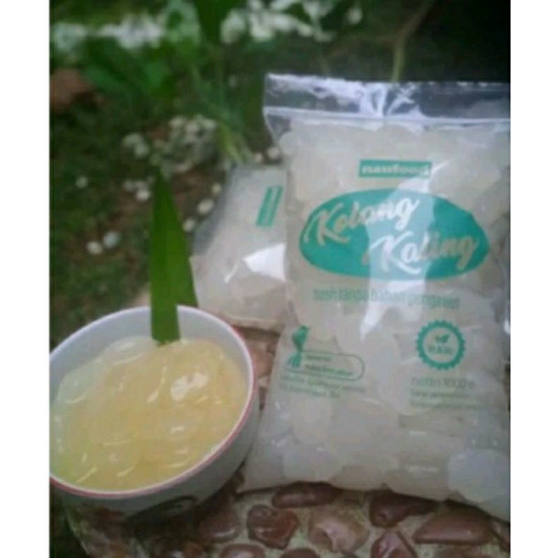 

kolang kaling/caruluk buah aren