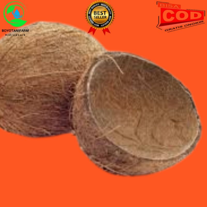 Batok kelapa kering berat 1 kg