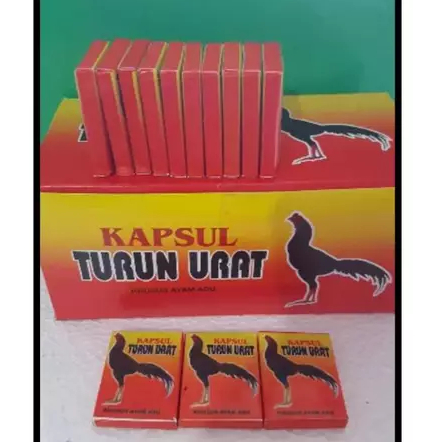 Kapsul turun urat kapsul formula bengkak obat ayam tarung