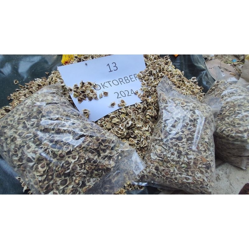 

BIJI KELOR 10KG Moringa