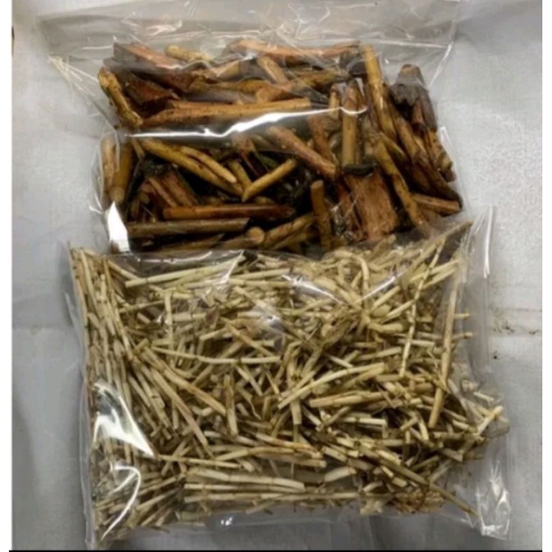 

paket hemat buat obat herbal akar pinang jambe segar + akar alang alamg segar isi banyak