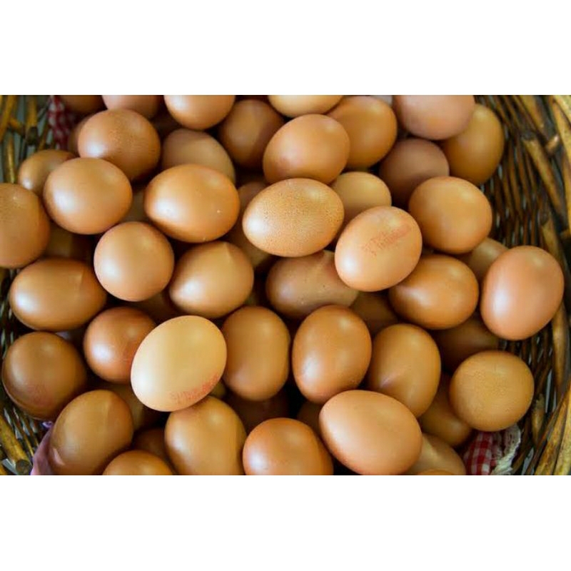 

Telur Ayam Negeri (1kg) harga emak-emak