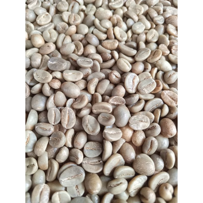 

arabika majalengka pegunungan ciremai / greenbean /kopi mentah