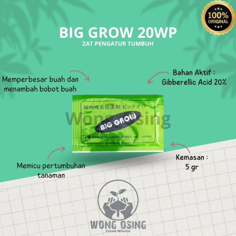 ZPT - BigGrow 20WP 5Gram (Pembesar Buah Naga)