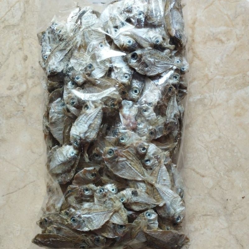 

ikan dodok asli madura