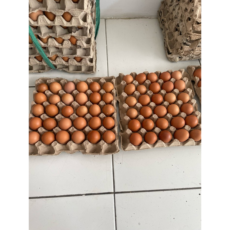 

Telur Ayam Negeri 1Kg *FREE PACKING*