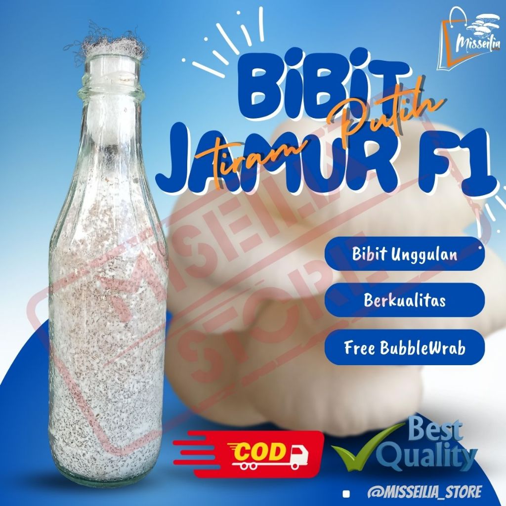 

Bibit Jamur Tiram Putih F1 Benih Unggulan Berkualitas