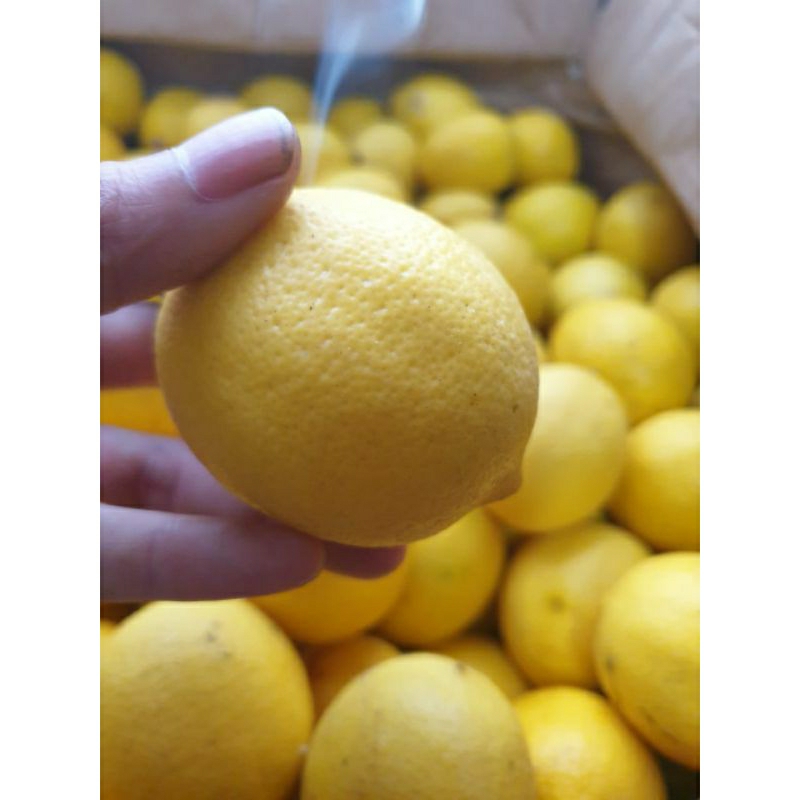 

LEMON CALIFORNIA 1 KG ISI 9,10,11,12, 13, 14, 15, 16 biji by MUTIARA LEMON (KULIT MULUS DENGAN HARGA TERMURAAHHH)