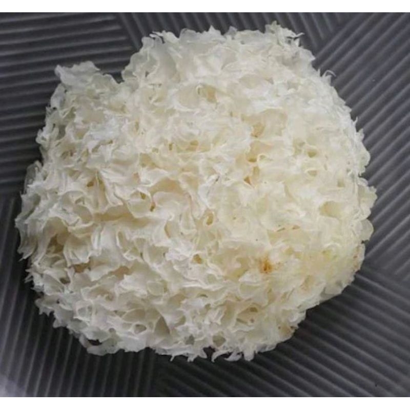 

Jamur Salju|Jamur Es|Jamur Putih|Dried White Fungus|1pcs