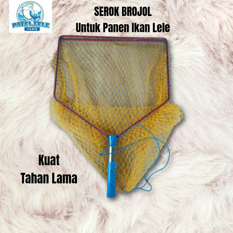 Serok Brojol panen ikan lele Kuat tahan lama