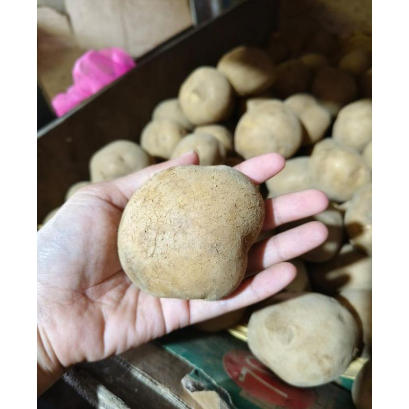 

KENTANG DIENG FRESH 1KG CUS CO