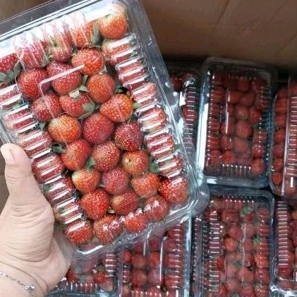 

strawberry 500 gram