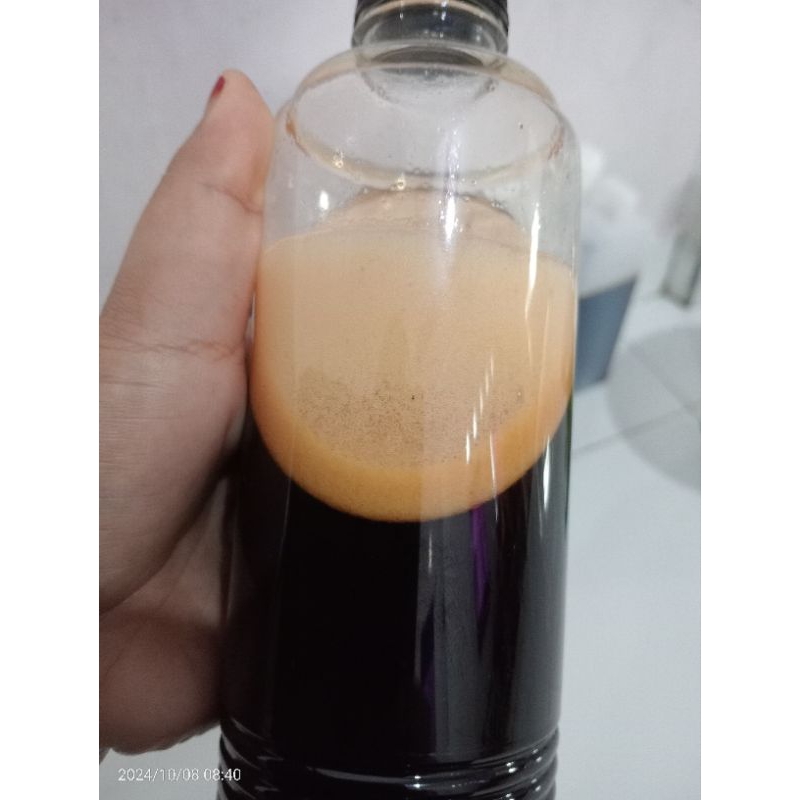 

madu hutan asli