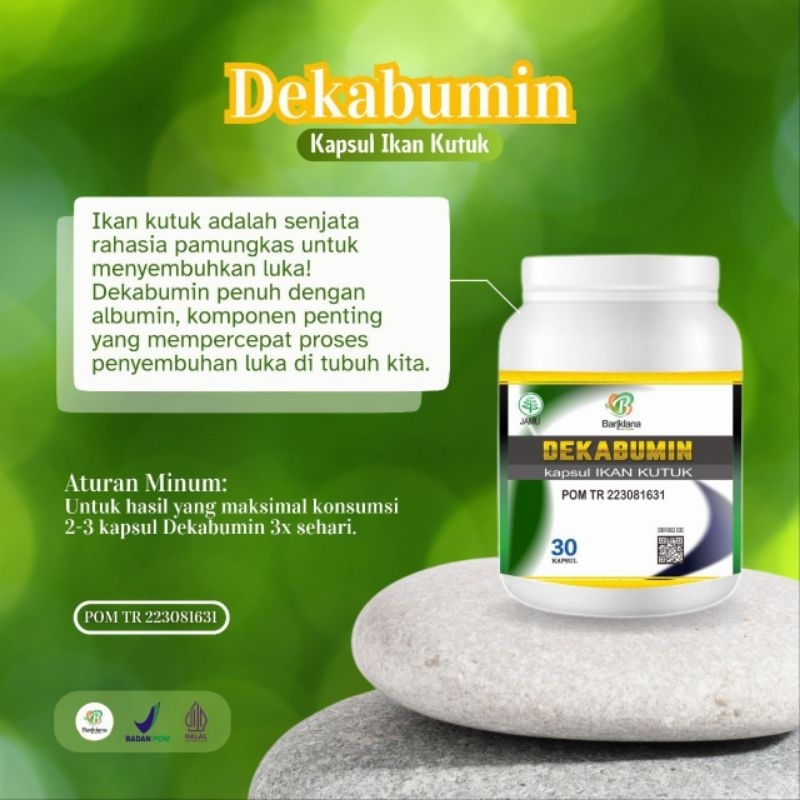 Minyak ikan gabus / ikan kutuk