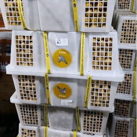 

Kelengkeng manis 500 gram