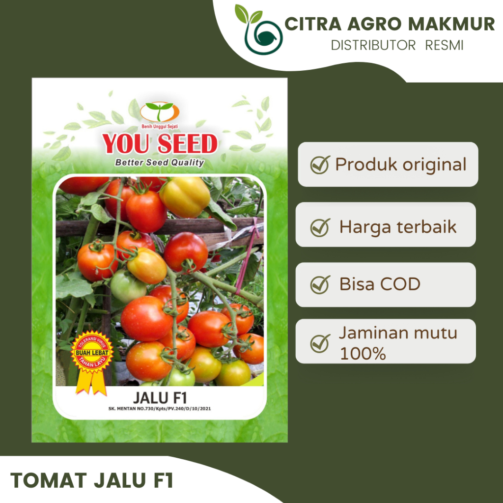 Benih TOMAT JALU F1 (5gr) - YOU SEED
