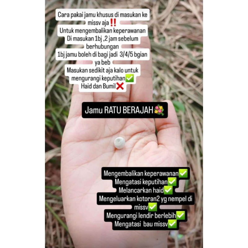 

JAMU RATU KALIMANTAN (SUDAH BERAJAH) hrg per biji