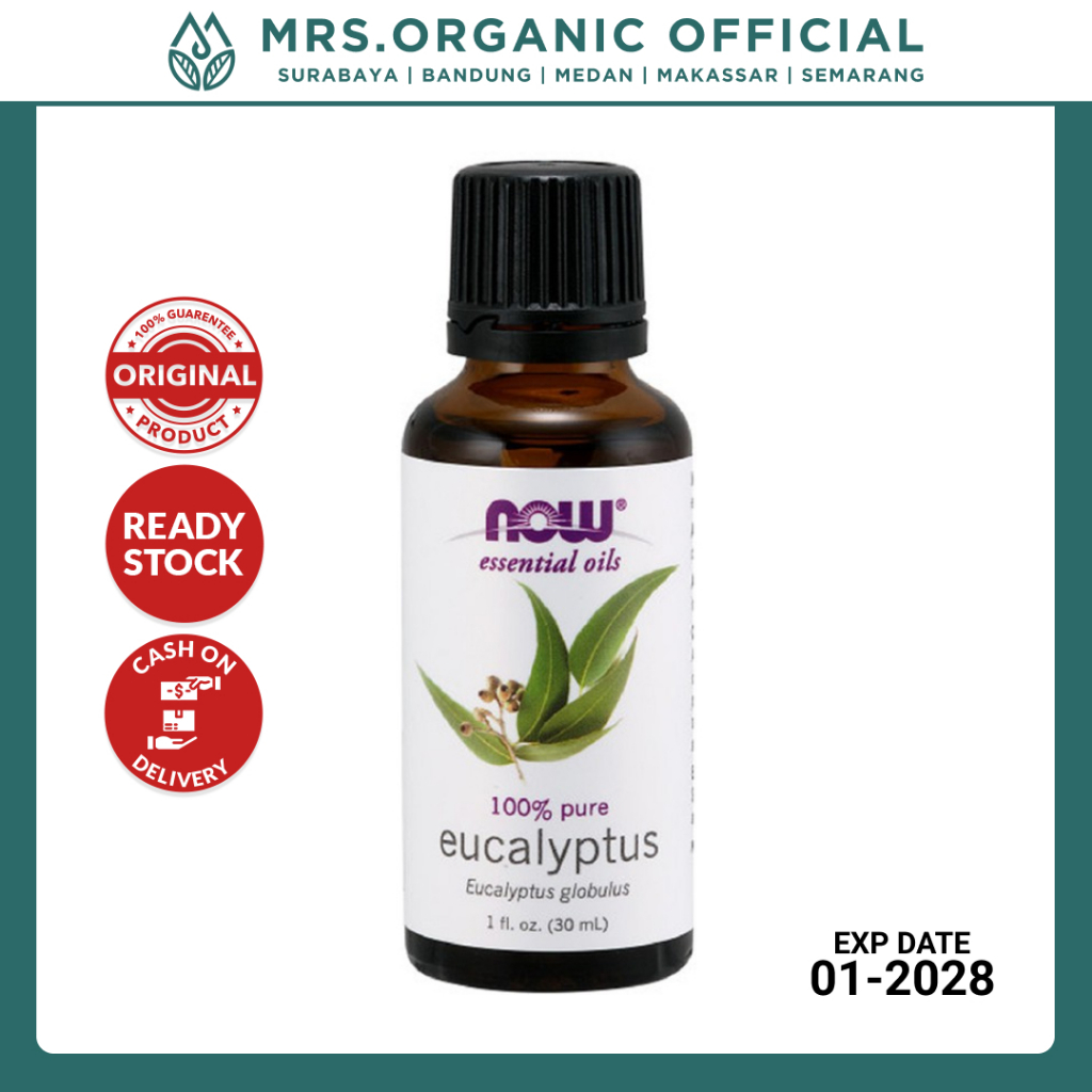 NOW Essential Oil Eucalyptus 30ml - Essentials Esential Oils Aromatherapy Ruangan Diffuser Flu and C