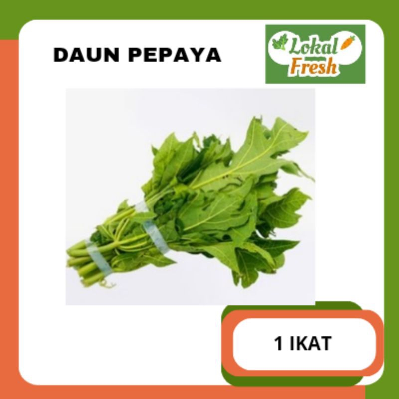 

DAUN PEPAYA | 1 IKAT | LOKAL FRESH SBY