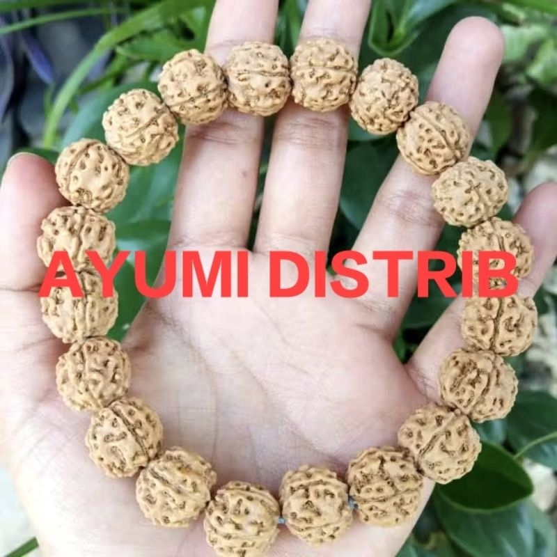 GELANG JENITRI RUDRAKSHA ASLI