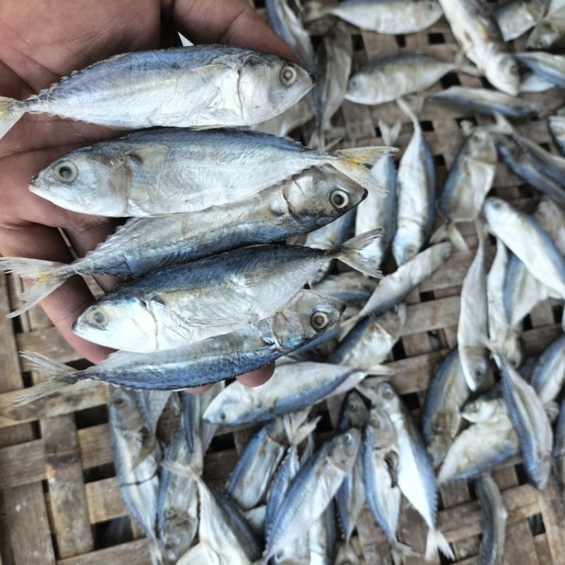 

1kg Ikan Asin Kembung Kanaren Ikan Asin Kering